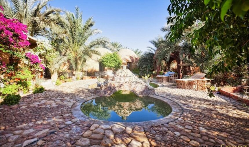 Natürliche Schönheit und kulturelle Tiefe: Siwa Springs erkunden