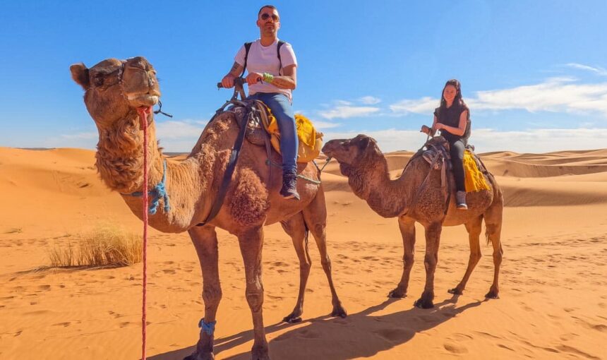 Matrouh Magic: Experience the Desert on a Camel