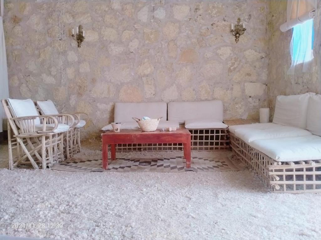 Siwa Oasis: Your Ultimate Retreat for Wellness and Relaxation - Outdoor Adventures
