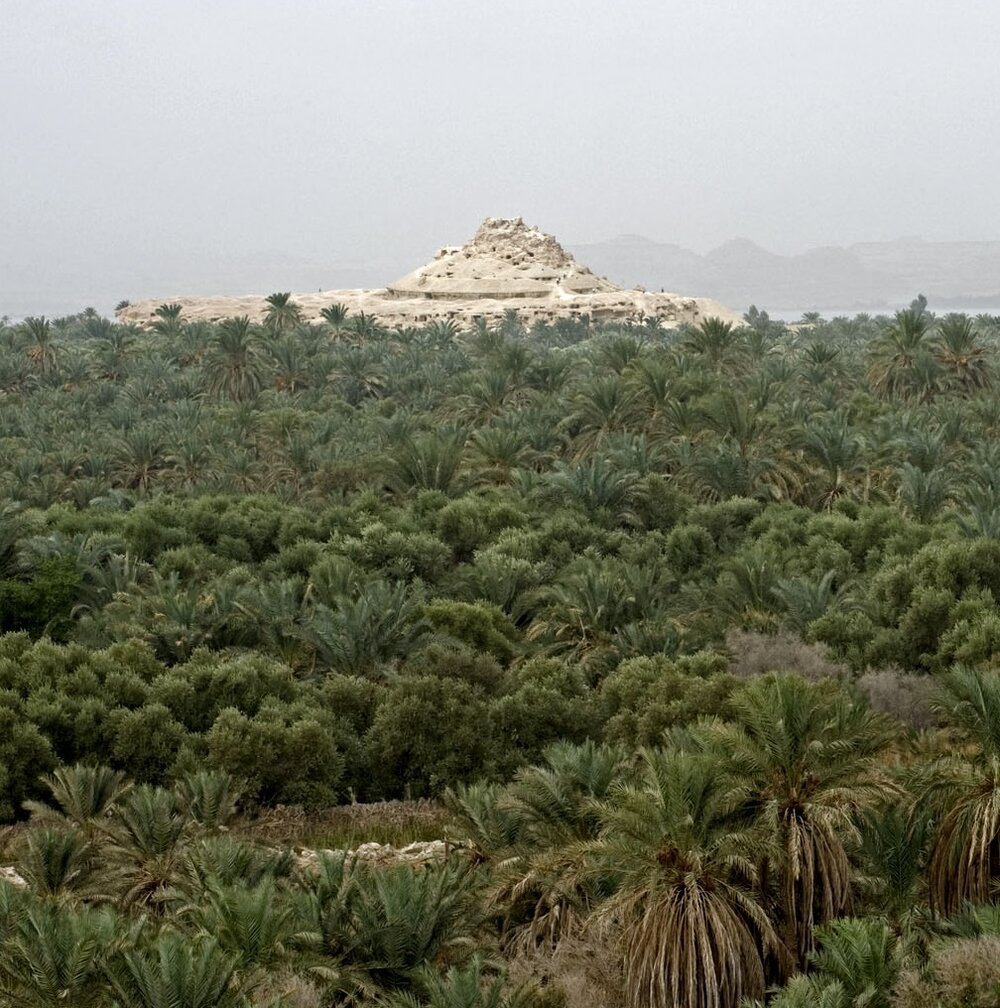 Green Gems of the Desert: The Allure of Siwa's Palm Tree Haven - Cultural Heritage