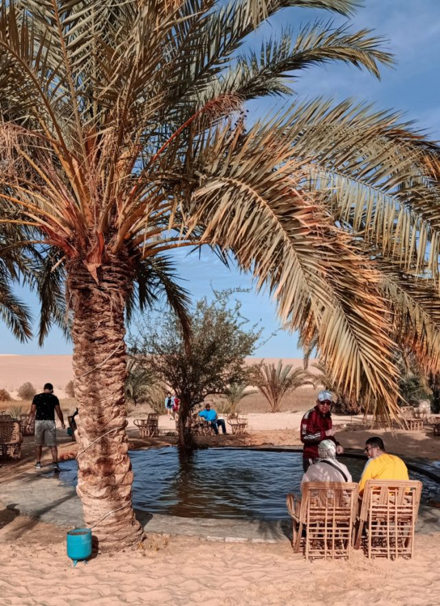 Green Gems of the Desert: The Allure of Siwa's Palm Tree Haven - Art and Craftsmanship