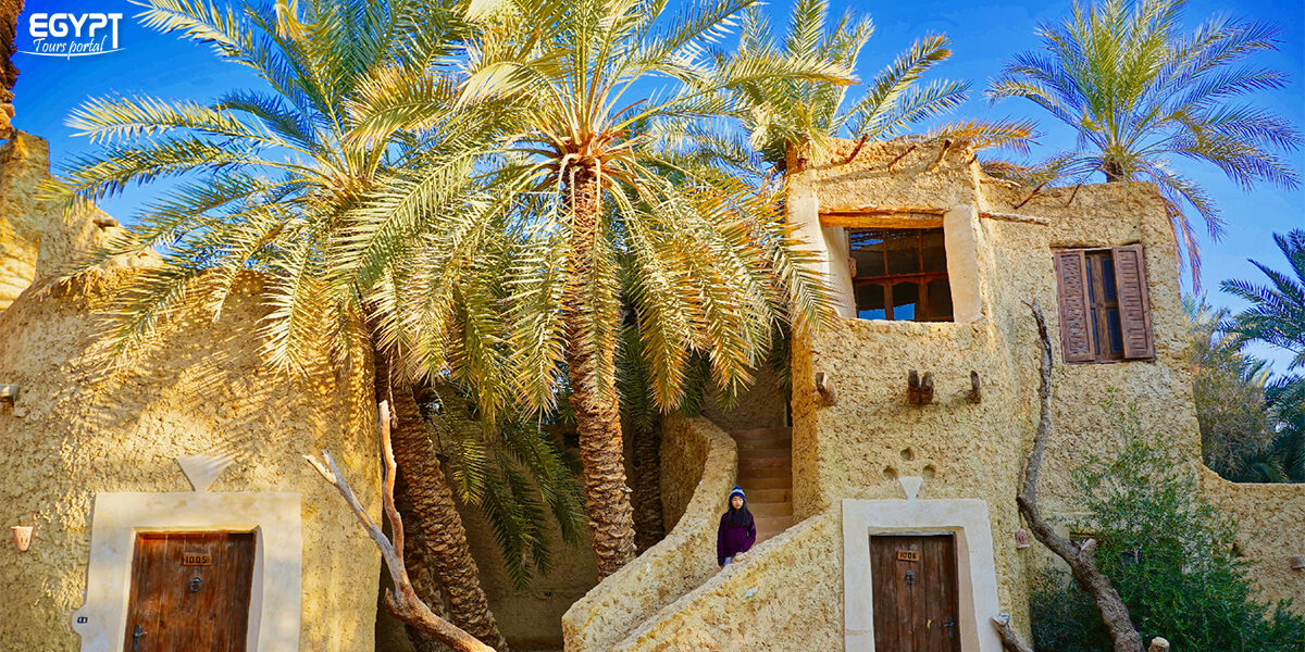 Exploring the Hidden Oasis: A Siwa Guided Tour Experience - Accommodation and Dining in Siwa Oasis