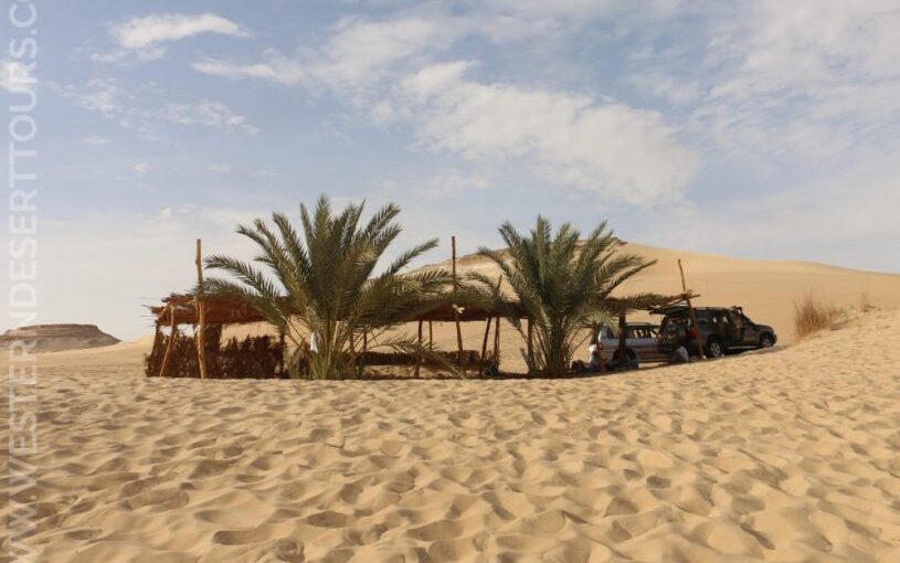 From Oases to Dunes: The Allure of Siwa’s Desert Escapades