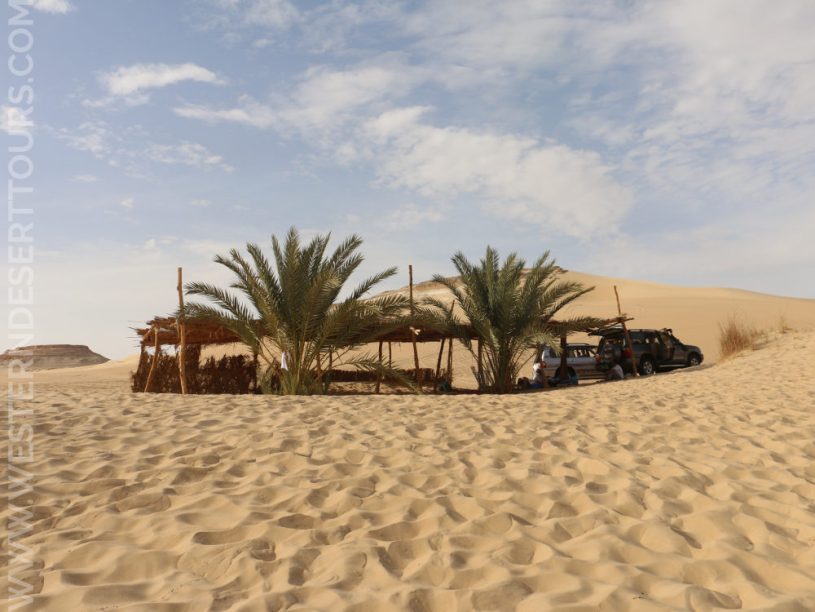 From Oases to Dunes: The Allure of Siwa's Desert Escapades - Cultural Immersion in Siwa