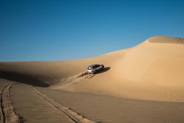 Exploring the Enchanting Oasis: A Guide to Siwa Desert Springs