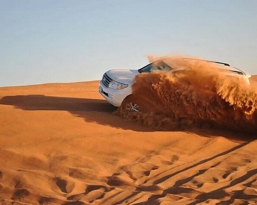 Matrouh Magic: Experience the Desert on a Camel - XIV. Must-Try Desert Activities in Matrouh