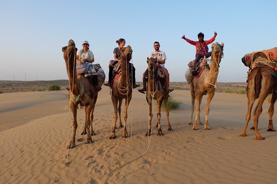 Matrouh Magic: Experience the Desert on a Camel - Introduction