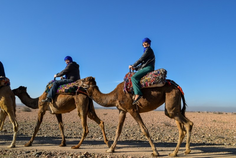 Matrouh Magic: Experience the Desert on a Camel - Benefits of Camel Riding in Matrouh