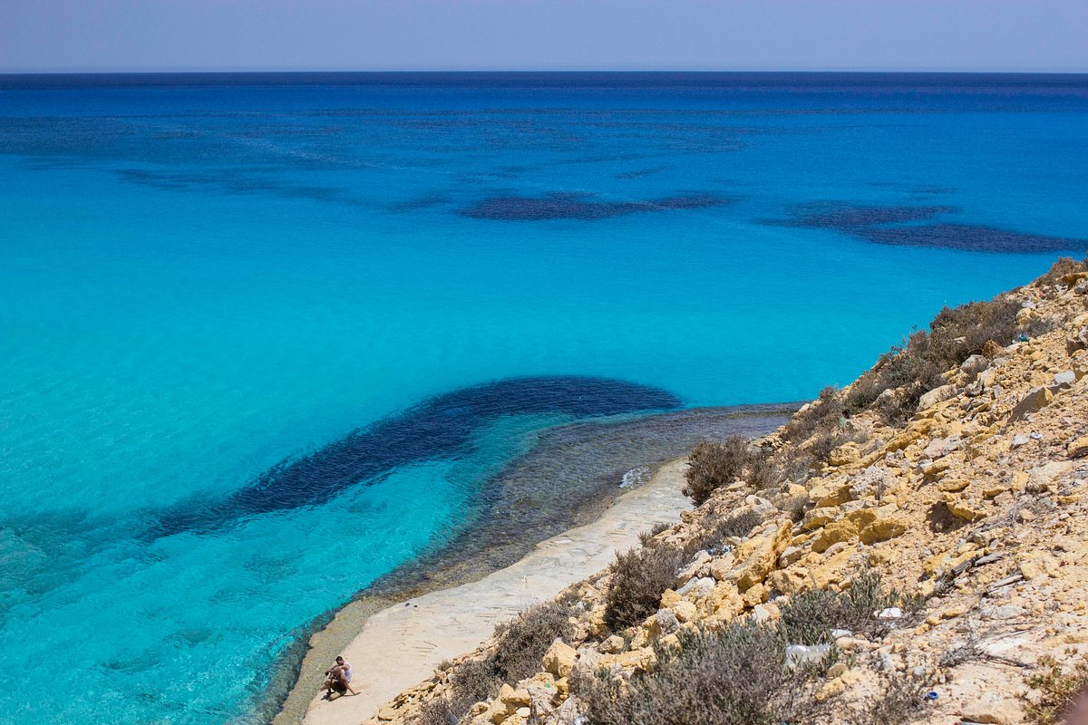 Aventure et Tranquillité : Explorer le Désert de Matrouh - Rencontres avec la nature