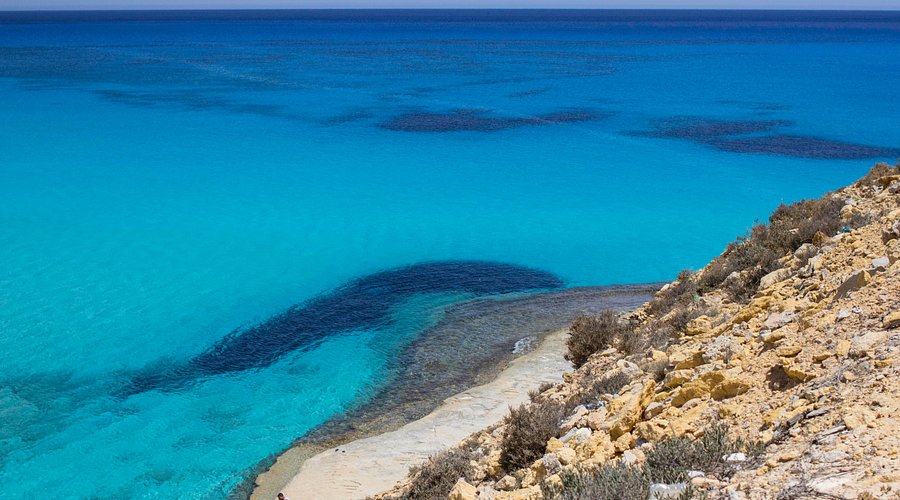 Kreative Abenteuer am Strand von Matrouh für die ganze Familie - Naturerkundungen