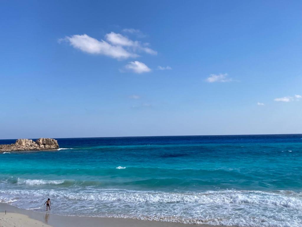 Évadez-vous au paradis : découvrez la beauté de la plage d'El Abyad à Marsa Matrouh - Cuisine et spécialités locales