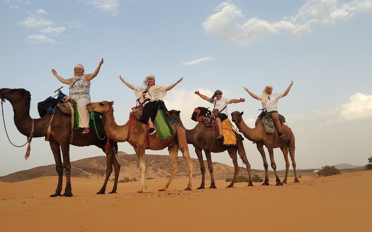 Camel Riding à Matrouh : Une expérience inoubliable à travers le désert - Conseils pour une balade en toute sécurité