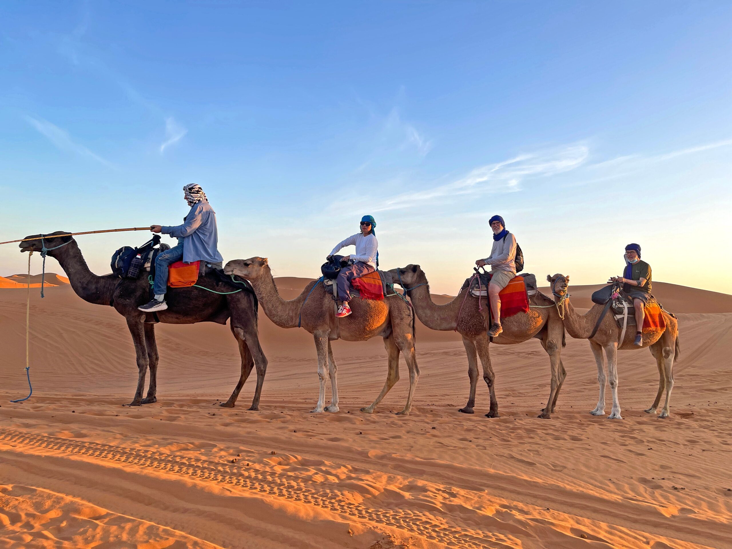 Camel Riding à Matrouh : Une expérience inoubliable à travers le désert - Introduction